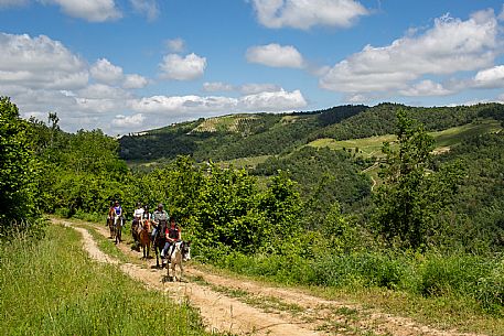 Horse riding Alta Langa